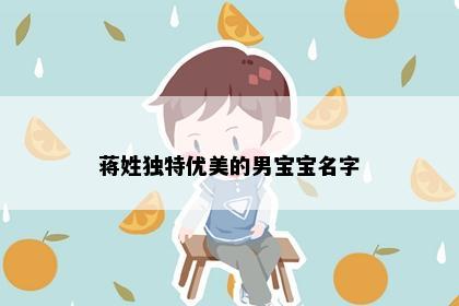蒋姓独特优美的男宝宝名字
